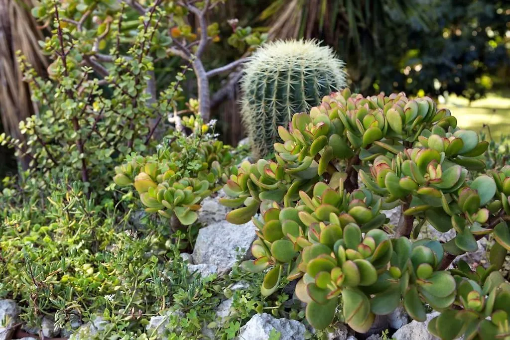 Suite Le Ginestre Sant'Agata Li Battiati Italia